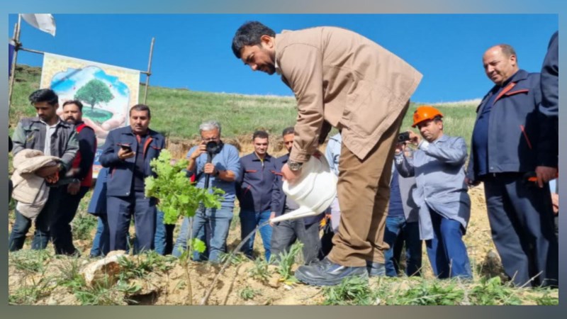 عملیات جنگل‌کاری 400 هکتاری مس سونگون در ارسباران آغاز شد