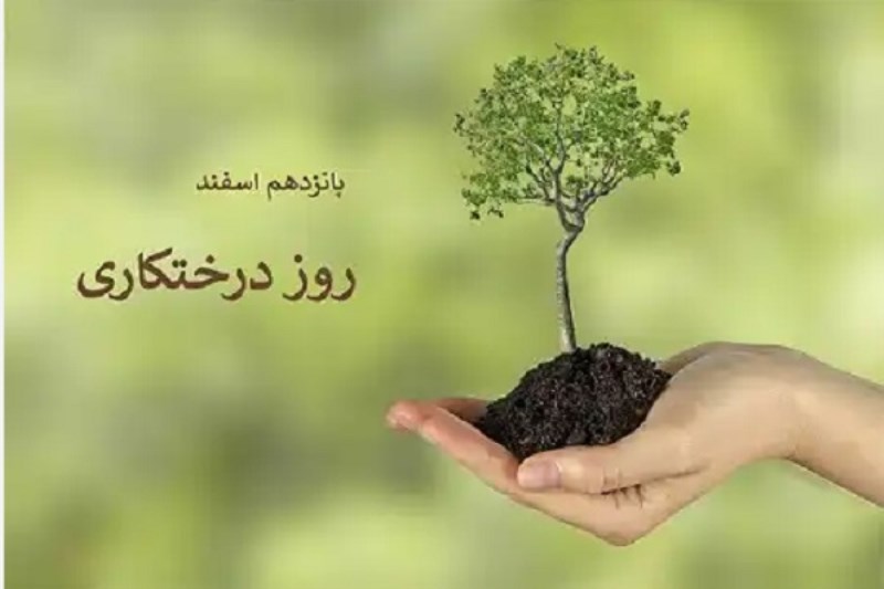 کاشت ۳۰ اصله نهال زیتون به مناسبت روز درختکاری در مجتمع صنعتی چادرملو