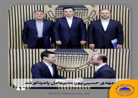 مهدی حسین‌ پور ، مدیرعامل پامیدکو شد
