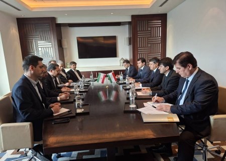 تأکید ایران و تاجیکستان بر اجرای فوری توافقات صنعتی