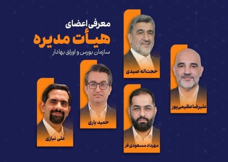 حجت‌الله صیدی دوباره رئیس سازمان بورس شد؛ تصمیم تازه شورای عالی بورس
