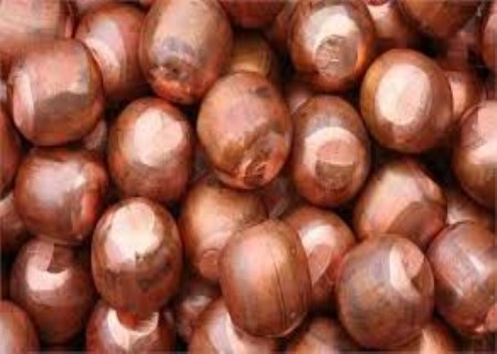 بحران خاموش در راه است؛ اگر قیمت مس بالا نرود، انرژی تجدیدپذیر متوقف می‌شود