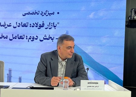 سعدمحمدی: با ساختار سنتی نمی‌توان در معدن و فولاد بلندپروازی کرد